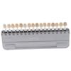 Ivoclar Vivadent Ceramic Palette Teeth Whitening Guide Tooth Bleaching Shade Chart Board 16 Color Palette