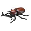 TAKARA TOMY Ania AS-37 Beetle Insect Toy (Ages 3+)