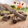 Cognitive Garden Bonsai & Rockery Model Set - Miniature Potted Trees, Stumps, and Stones for Landscaping and Scene Decor.
