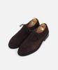 Custommood Kodo Suede Classic Derby Shoes (Choco)