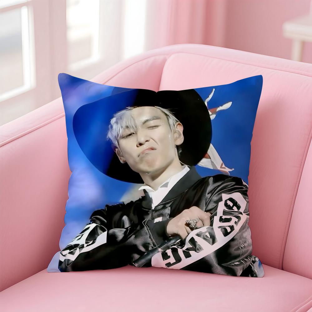 Singer T.O.P Cushion Cover Home & Car Multi-Scene Pillow Cover - Reversible, Soft & Durable for Daily Use