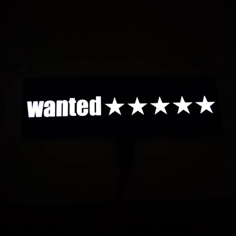 New Arrival Lucky Cat Sign Custom EL Luminous Logo Flexible LED Lighting Plastic Car Stickers for Wedding & Birthday