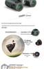 Celestron Nature DX HD Waterproof Nitrogen-Filled Low Light High Magnification Phase Coated Binoculars