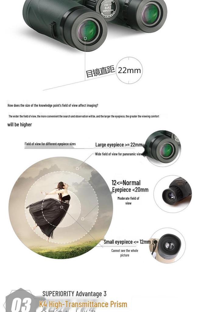 Celestron Nature DX HD Waterproof Nitrogen-Filled Low Light High Magnification Phase Coated Binoculars