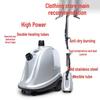 Mingxin Tianyu High Power 2180W Double Cylinder Garment Steamer for Commercial and Home Use