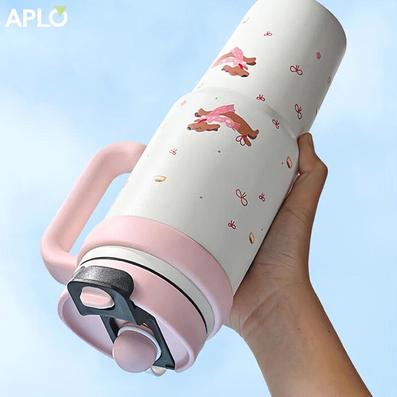 APLO Mega 1000ml Insulated Water Bottle