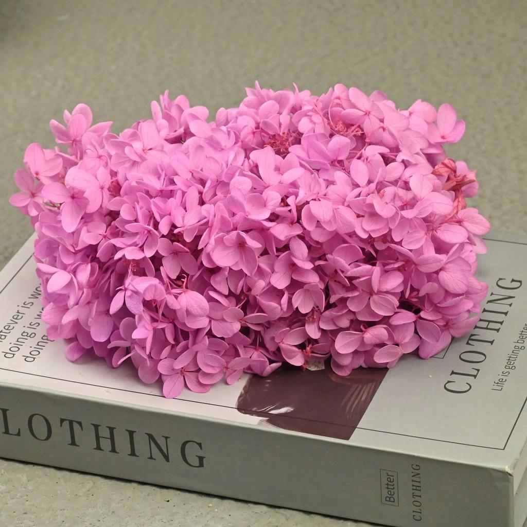 20g Natural Dried Flowers Hydrangea Macrophylla Home Flowers Decoration Wedding Celebration Bouquet Materials