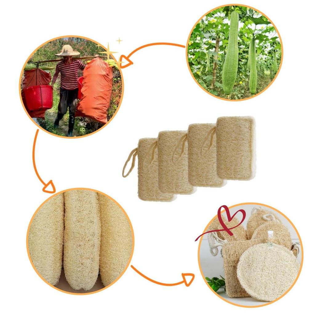 Natural loofah dishwashing scrubber scratch-free and biodegradable cleaning sponge brown color 8PCS