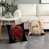 Classic Anime D-Death Note Pillow Case For Sofa Living Room Home Office Decor Protective Cover