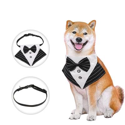 Abbigliamento e scarpe – Accessori per cani