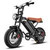 ALNSOOR GT600 Voksen Vintage Fat Tyre Elektrisk Cykel 250W Motor 48V18Ah Batteri 16 Tommer Hjul Terrængående E-cykel Velegnet til Flere Vejforhold