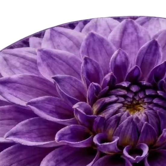 Floral Plush Floor Mat 3D Optical Illusion Round Small Area Rug Non-Slip Absorbent Carpet