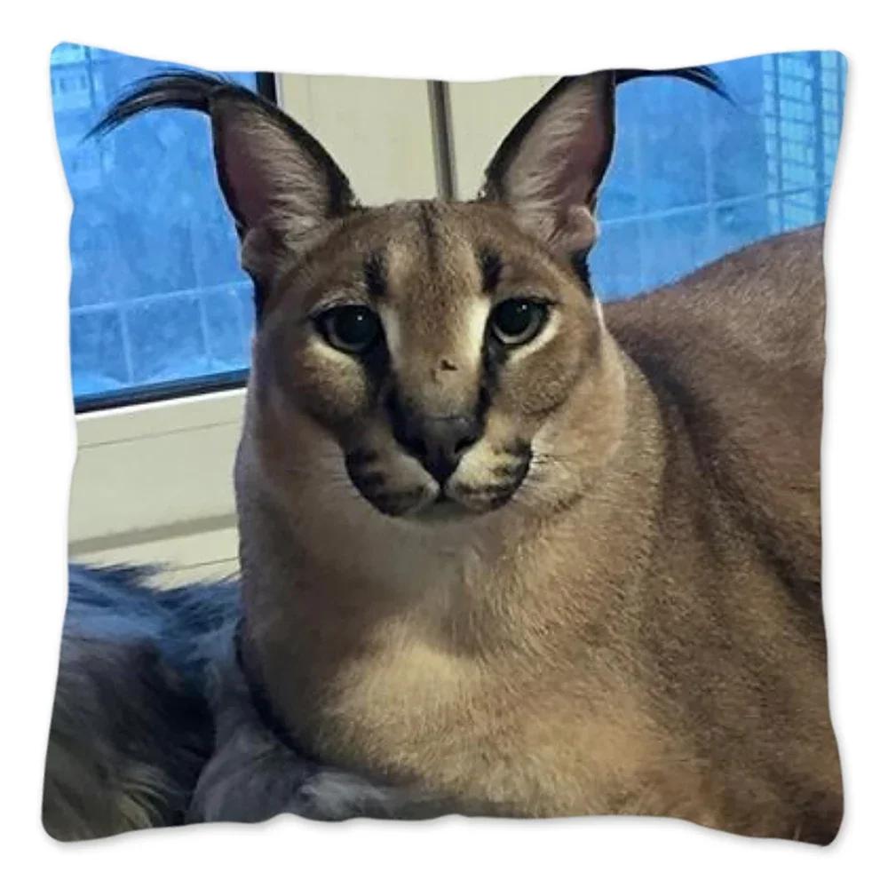 Capa de Almofada Meme Fofo Floppa 40x40 Decoração de Casa Dakimakura Engraçada Gato Caracal Capa de Almofada para Sala de Estar Housse De Coussin