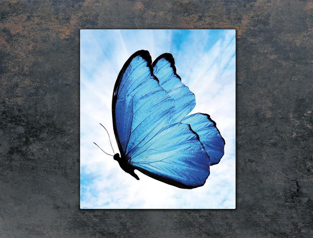 SZKLANA DESKA DO KROJENIA 45x52 MOTYL
