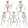 M-Moderní-1 kus Halloweenové kostry Dekorace Kostra celého těla s pohyblivými klouby Bílá