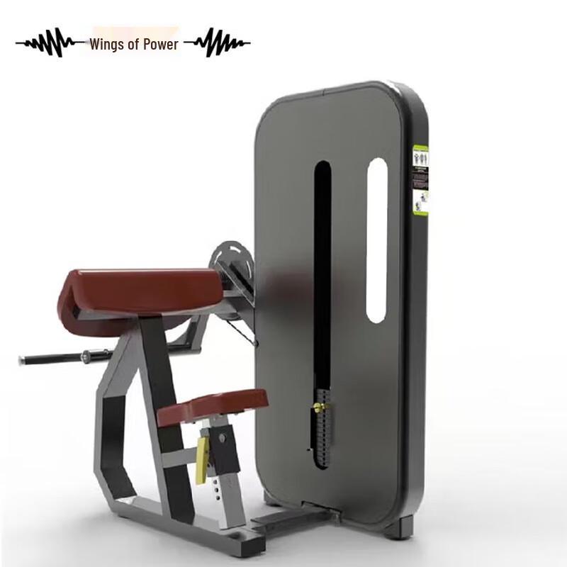 Wing of Power Commercial Bicep Curl Preacher Bench