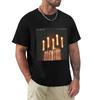 City and Colour Guide Me Back Home T-Shirt Weiches Basic Baumwolle Kurzarm Tee