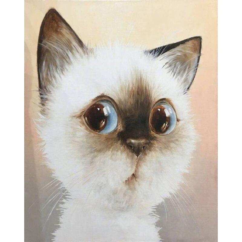 

5D милий кіт, тваринний візерунок, повний алмазний живопис, круглий дриль, смола, стрази, малюнок, DIY, домашня мозаїка, прикраса, подарунок Full Round 30x40CM