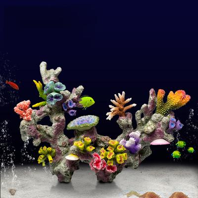 Fische & Meerestiere – Aquarien-Einrichtung