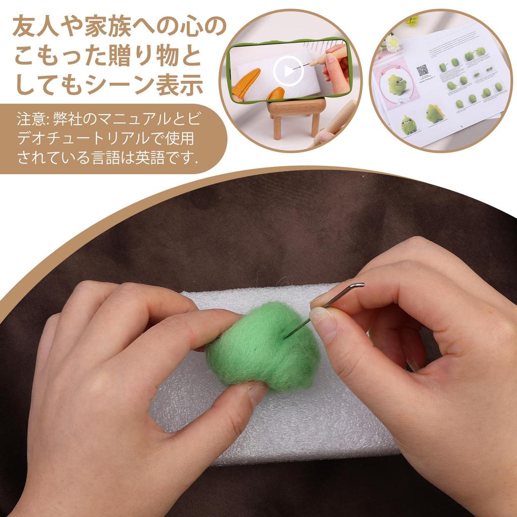 RMTIME Wool Felting Kit, Complete Needlework Kit with Felting Needles, Instructions, Felting Foam Mat, and Other Tools for Adult DIY Crafts Beginners
