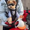 Fashionable Puppy Headwear Adjustable Mini Helmet for Small And Medium Dogs Lightweight Protective Pet Breathable Cap Safety Hat Headgear