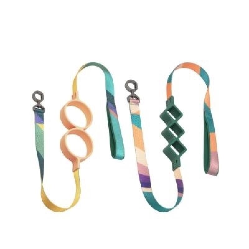Puppy Leash Color stripes