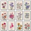Flowers Meaning Illustration Posters Prints Magnolia Dahlia Cosmos Canvas Painting Wall Art Picture for Living Room Home Decor