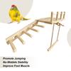 Bird Perches For Cage Ramp Swing Climbing Toys Cockatiel Perch For Boredom Prevention Mental Stimulation Parakeets Finches Home