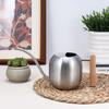 Stainless Steel Long-Spout Watering Can with Misting Sprayer for Gardens