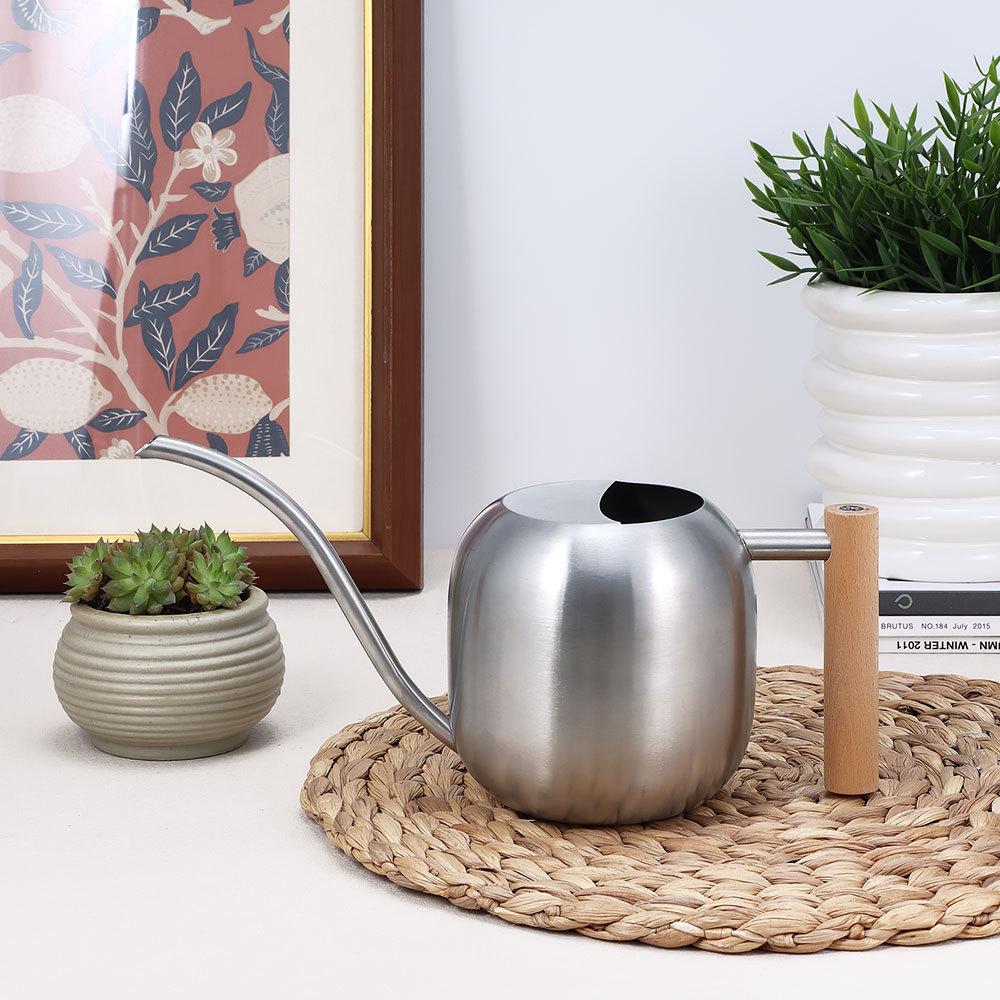 Stainless Steel Long-Spout Watering Can with Misting Sprayer for Gardens