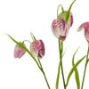 Hill Interiors The Natural Garden Collection Fritillaria Stem Artificial Flower