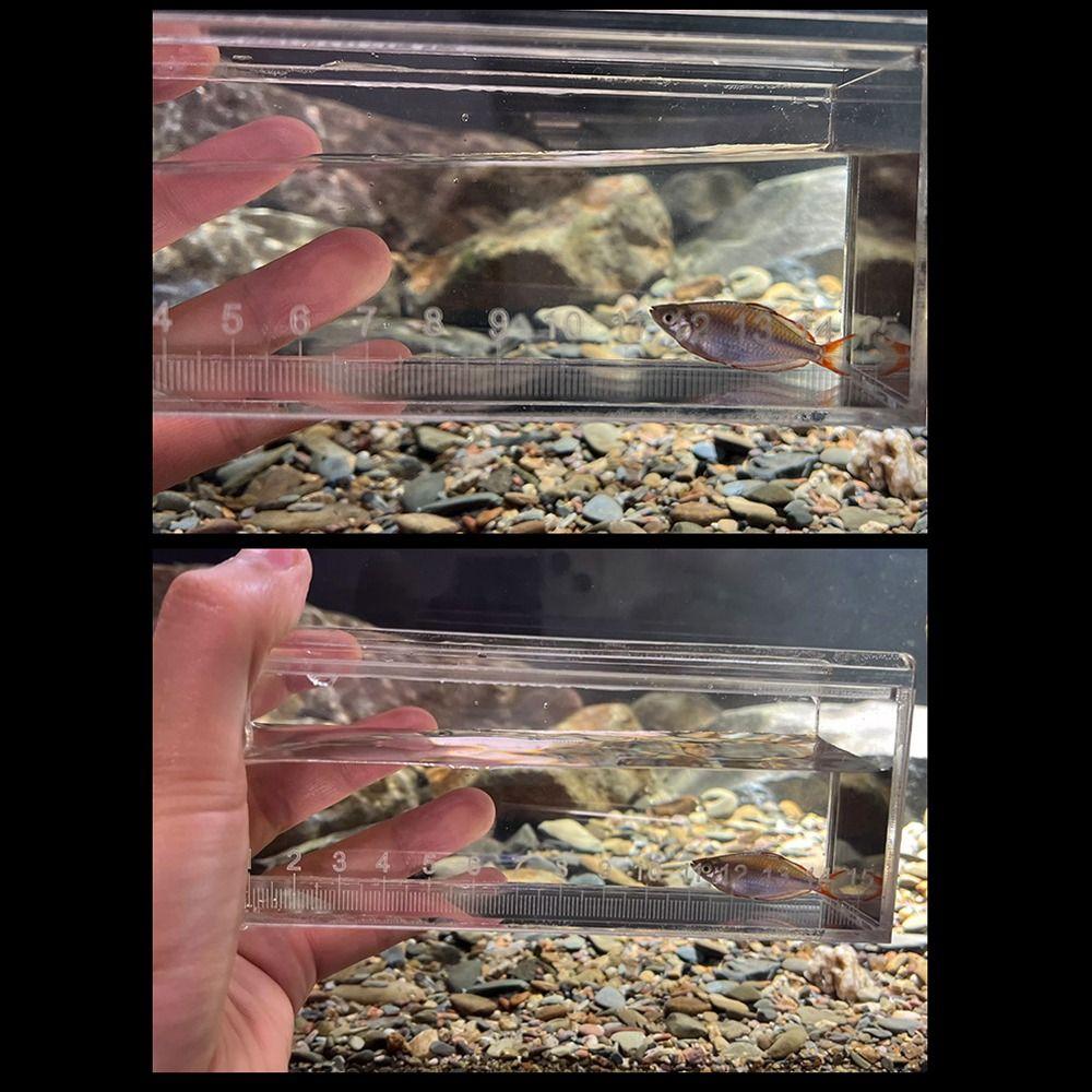 Portable Transparent Fish Viewing Box Micro Landscape Rectangle Desktop Goldfish Bowl Mini Dustproof Fish Breeding Tanks Snails