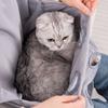 Adjustable Pet Grooming Smock Elastic Pocket Cat Holding Apron Pet Carrier Apron  Home Use