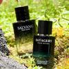 Parfum pentru bărbați sălbatice Colonie Parfum bărbați Parfum susținut Parfum ușor proaspăt Colonie naturală Parfum lemnos