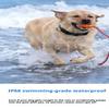 Cães – Colares e correias para cães
