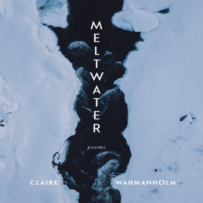 Meltwater by Claire Wahmanholm Paperback Book 9781639551019