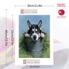 Siberian Husky and grassland Pattern  3pcs 100% Round Full Drill 5D DIY Diamond Painting Embroidery Cross Stitch Rhinestone Décor