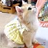 Pet Dog Cat Lightweight Harness Dress Small Breeds Bichon Teddy Shih Tzu Puppy Anti-Shedding Comfortable