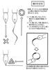 Tachikawa Pin Manufacturing Co., Ltd. T99 Round Nib Pen, Premium Quality, Pack of 100, T99100EX