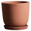 [Official] CERAPOTS Bolin Flower Pot with Saucer, Sizes 5 and 8, Cerapots Bolin Table-L M AND PLANTS (2. Terracotta, Table-L (Size 5))