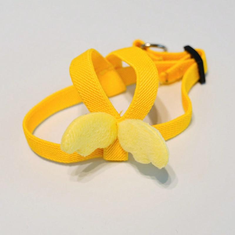 Geschirr Verstellbares Haustier Vogel Geschirr Leine Draußen Fliegen Training Seil Leine Bissfest Elastisches Band Für Vogel Papagei Kakadu Aras Wellensittich