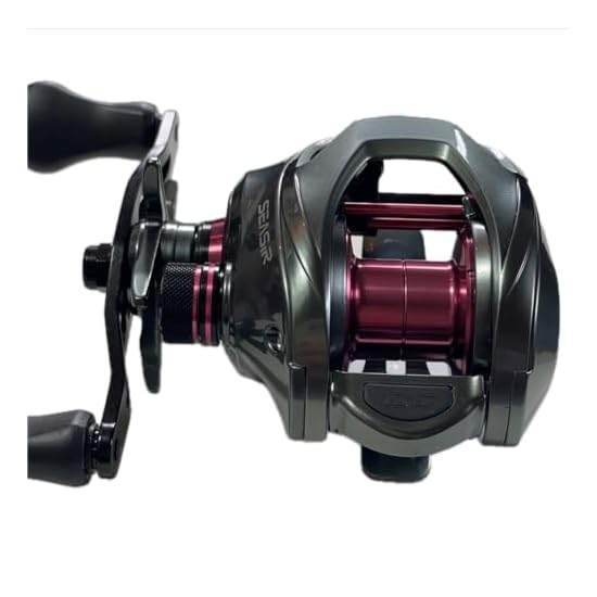 SEASIR DCAST Chinese DC Baitcasting Reel Versatile Long Casting DC Brake Electronically Controlled W