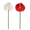 26" Real Touch Anthuriums Plant Artificial Tropical Flower with Long Stem Faux Floral Arrangement for DIY Vase Table Centerpiece Home Office Wedding
