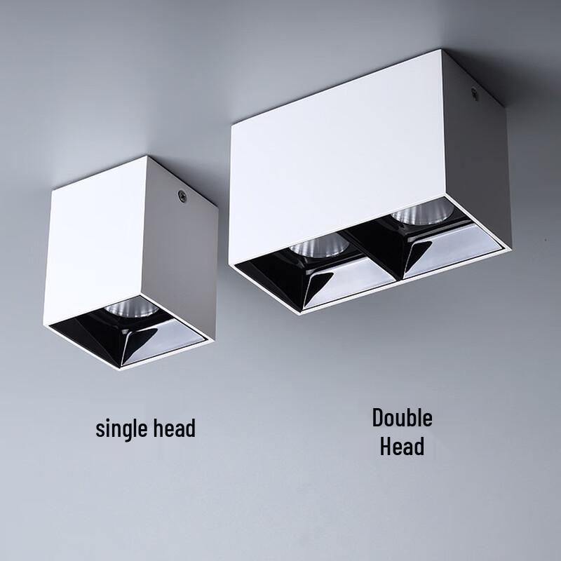 Oeny Dual-Head Surface Mount LED Spotlight