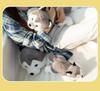 Cute Husky Plush Toy - Perfect Birthday Gift for Kids