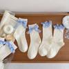 Chaussettes Hautes en Coton Pur Style Nouveau Printemps Été pour Femmes avec Dentelle et Nœud Ballet