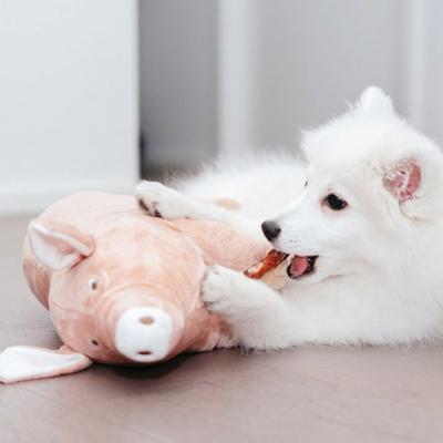 Muñeco de cerdo rosa para mascotas Dingdongpet, colores mixtos, 1 pieza