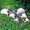 Garden Pig Statue, Outdoor Resin Piggy Ornament, Cute Piglet Sculpture, Farmhouse Decoration for Yard Lawn Patio
