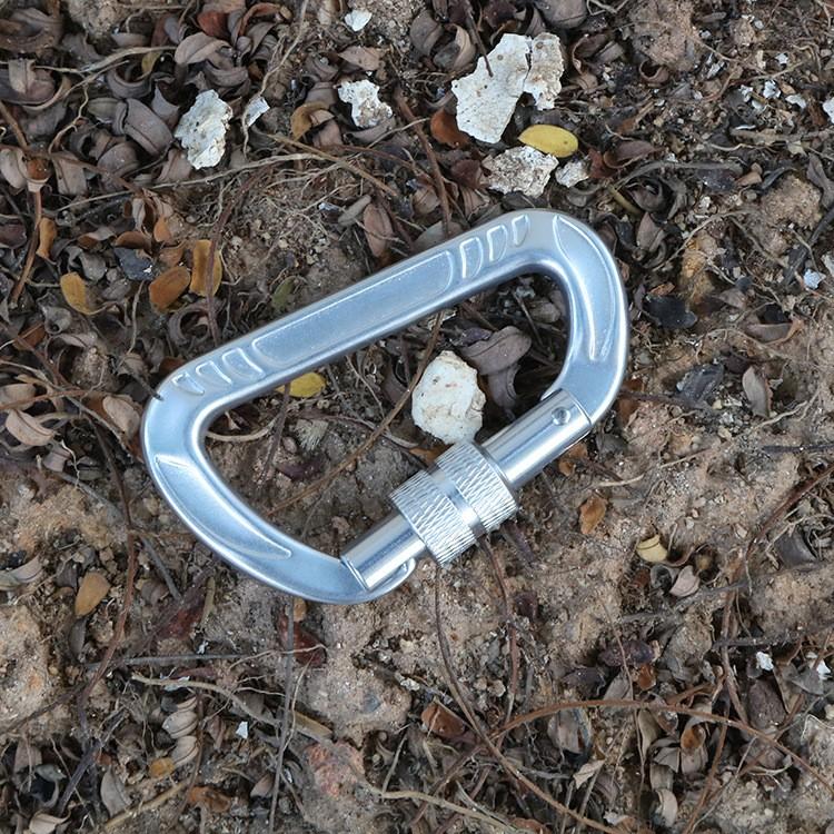 Small Branded Galvanized Aluminum Alloy Carabiner-Safety Screw Lock Snap Clip Heavy Duty for Industry Outdoor Use Dog Leash