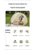 Children's Portable Outdoor Folding Beach Sun Tent with Cooking Utensils